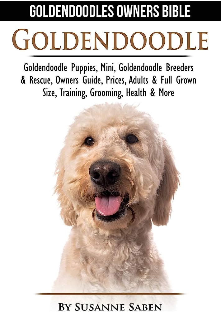 What Are Reputable Goldendoodle Breeders In New York City?