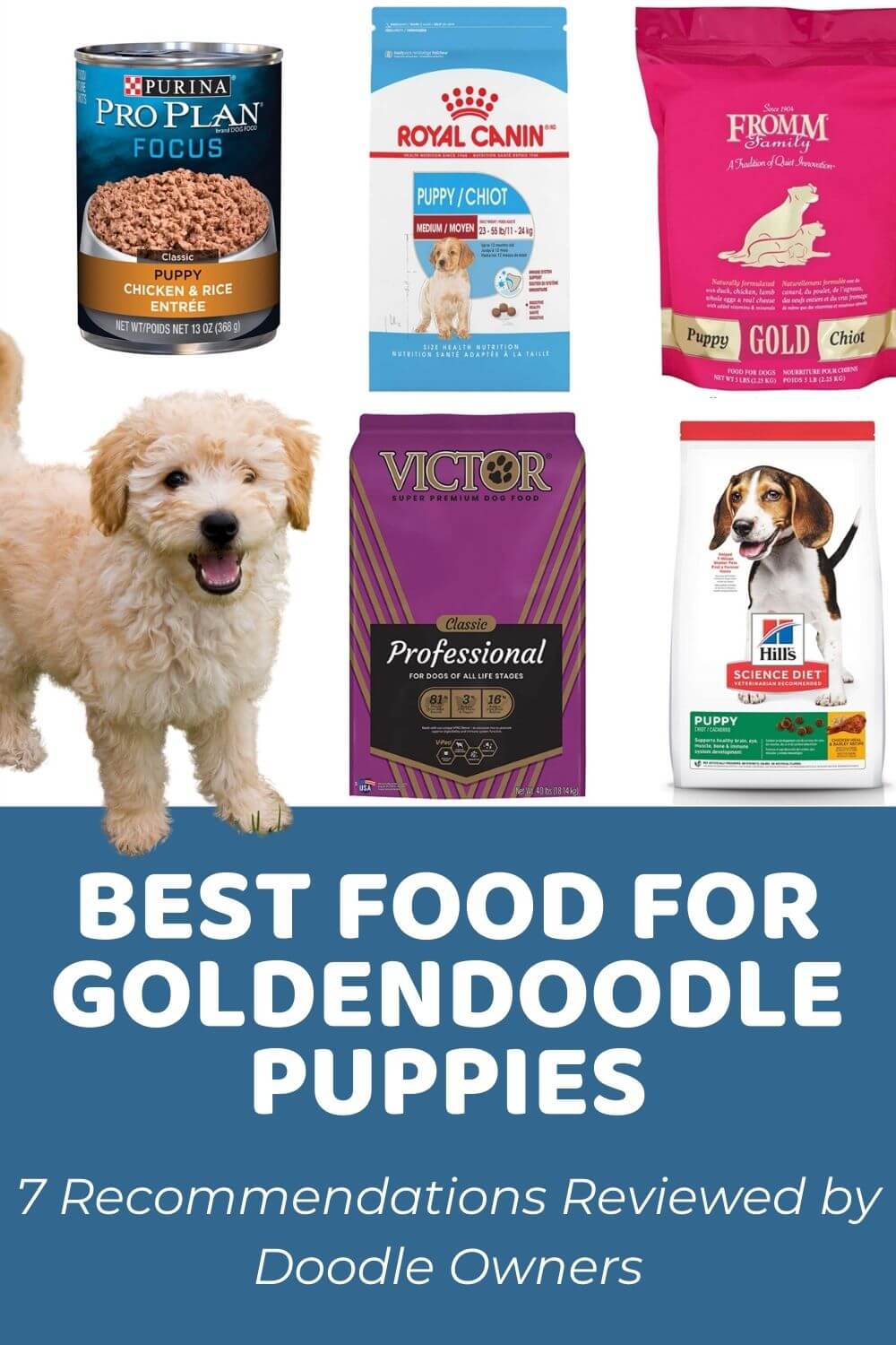 What Is the Best Dog Food for Goldendoodle Puppies?