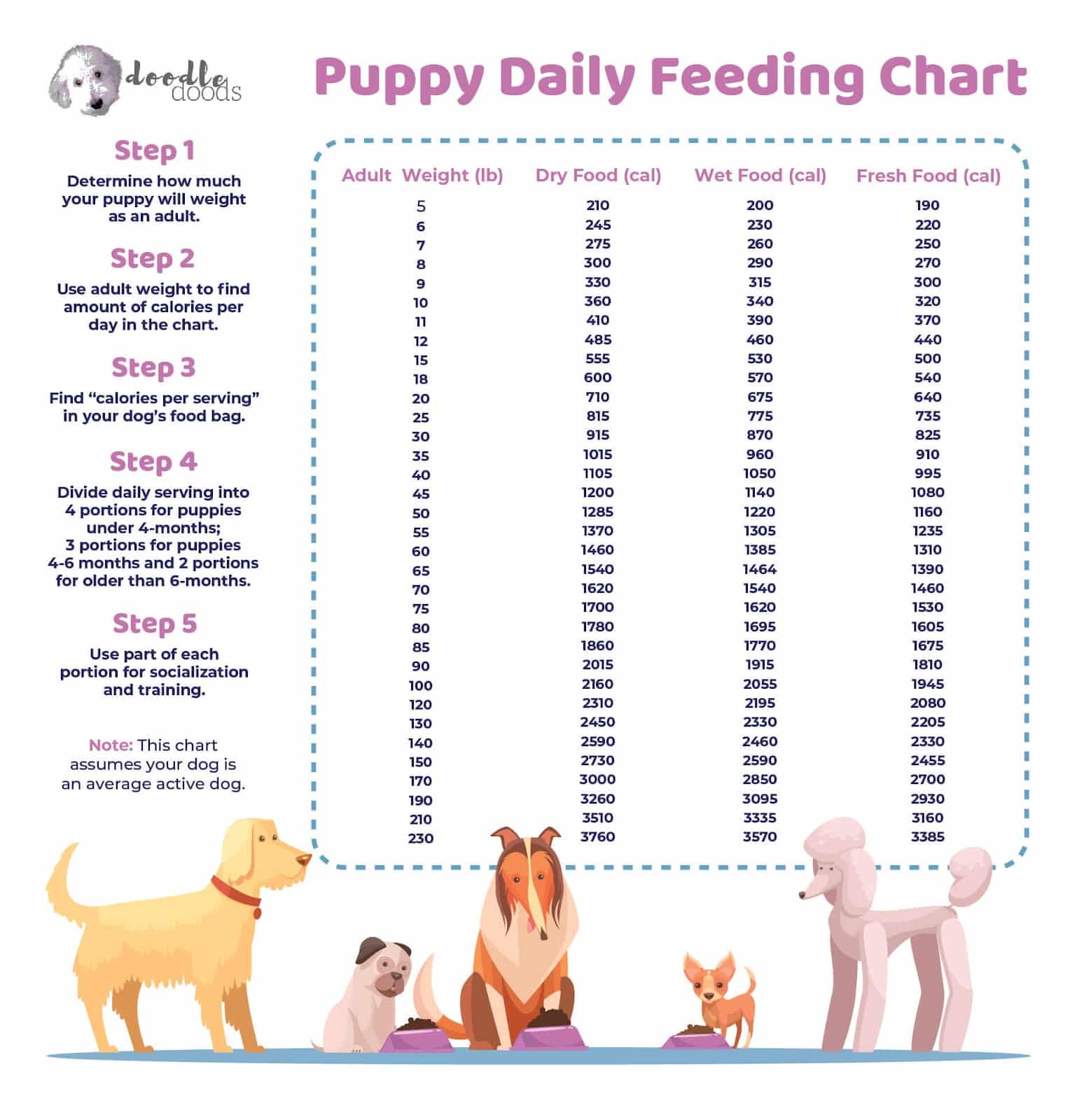 When to Switch from Puppy Food to Dog Food Goldendoodle?